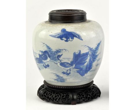 A Chinese blue and white oviform vase, decorated with ducks or geese beside a rocky seascape, about 20 cm high, Qing DynastyP