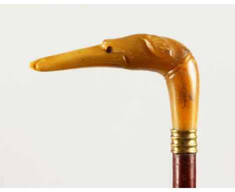 AN EDWARDIAN WALKING STICK, the handle carved as a dog's head. 86cms long.