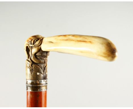 AN EDWARDIAN WALKING STICK, with stag horn handle, depicting a Jewish man with an unusually long nose. 81.5cms long.