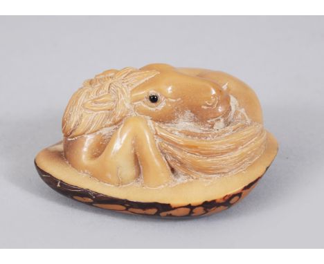 A JAPANESE CARVED BONE NETSUKE OF A HORSE. 6cms.