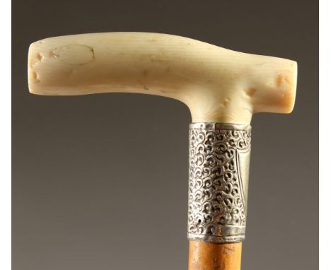 A MALACCA WALKING STICK, with ivory handle and silver collar. 91cms long.