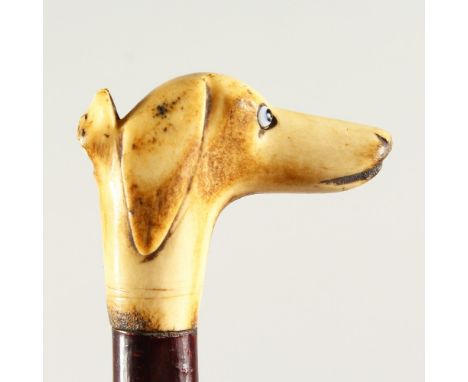 A RUSTIC WALKING STICK, the handle as a carved bone dog's head whistle.