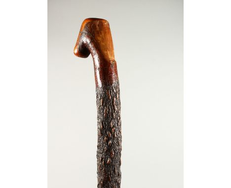 AN IRISH RUSTIC CARVED WALKING STICK. 99cms long.