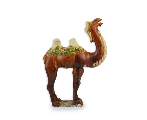 A large Chinese sancai pottery figure of a bactrian camel, Tang dynasty, standing four square on a rectangular plinth, 59cm h