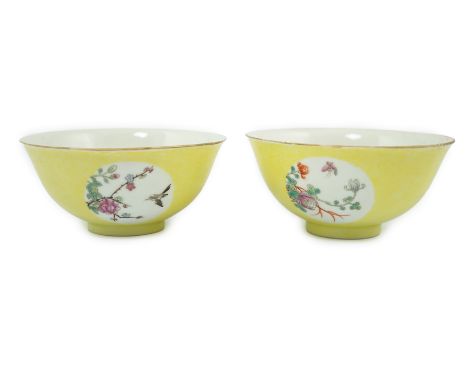A pair of Chinese yellow sgraffito ground medallion bowls, Guangxu mark, early 20th century, each exterior painted with insec