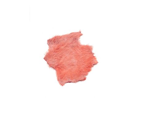 'Orange Patch' medium: mouse fur, pigment PLEASE NOTE THAT FINAL INVOICES WILL INCLUDE BUYERS PREMIUM AT 27% (INCLUSIVE OF VA