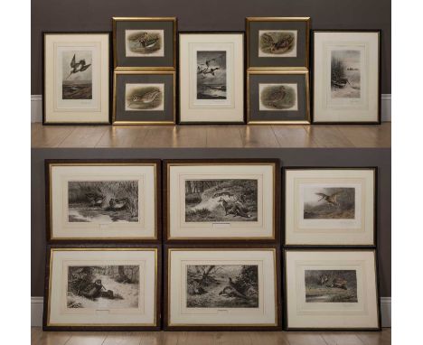 A collection of thirteen wildlife prints, nine by Archibald Thorburn, four of which are from 'The Encyclopedia of Sport', inc
