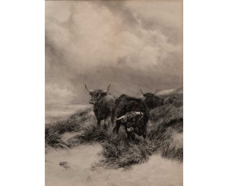 After Peter Graham A.R.S.A., (Scottish 1836-1921), highland cattle, mezzotint on canvas backed paper, signed and dated within