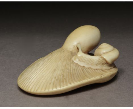 A late 18th century Japanese netsuke from Edo period. In carved elephant ivory portraying a snail eatingthe low part of a mus