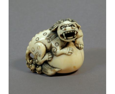 A 19th century Japanese netsuke from Edo period. Not signed. In carved elephant ivory portryaing a Shishi resting over a sphe