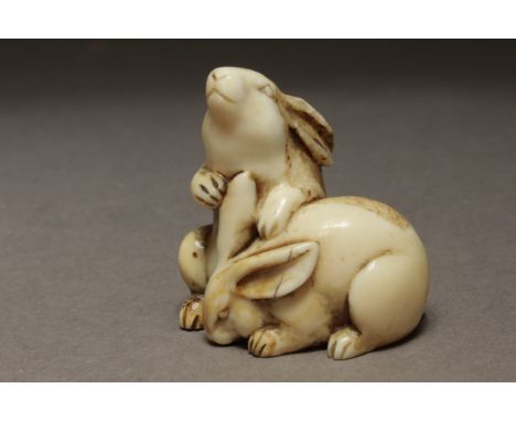 A late 18th century Japanese netsuke from Edo period. Not signed. In carved walrus ivory portraying a pair of hares. One sat 