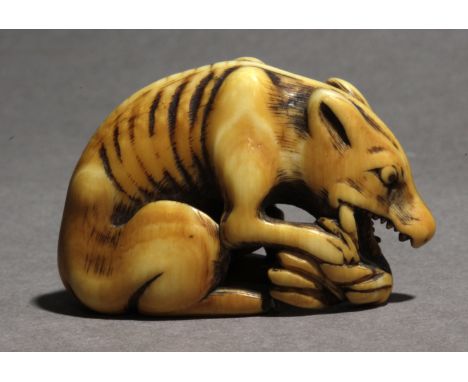 A mid 18th century Japanese netsuke from Edo period. Not signed. In carved ivory portraying a wolf sat on the floor with the 