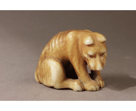 A Japanese netsuke from Edo period circa 1800. Not signed. In carved ivory portraying a wolf sat on the floor with the head t