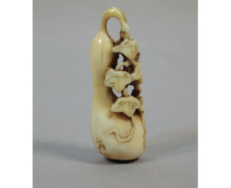 A 19th century Japanese netsuke from Meiji period. Not signed. In carved elephant ivory portraying a pumpkin with many leaves