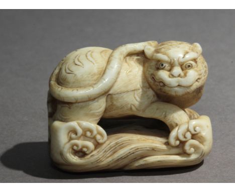 A mid 19th century Japanese netsuke from Edo period. Not signed. In carved elephant ivory portraying a tiger with his tail ov