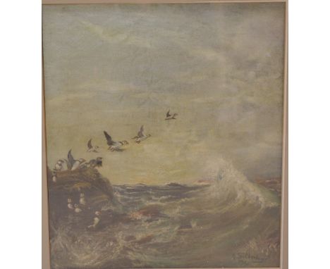 ALAN SUTHERLAND (B.1931, SCOTTISH); oil on canvas, puffin island seascape, signed lower-right, dated 1961, 34 x 39cm, framed 