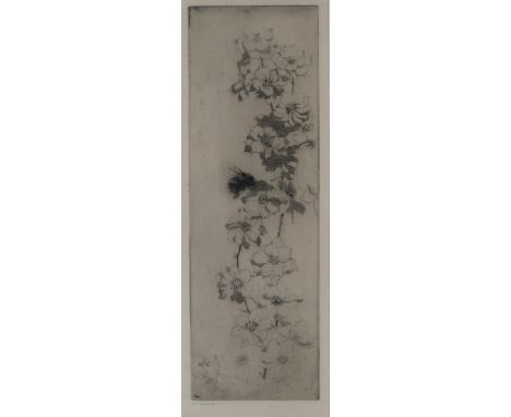 KATE CAMERON RSW RE (SCOTTISH 1874-1965) WILD ROSES AND BEES Etching, signed in pencil, 30.5 x 10cm (12 x 4") Condition Repor