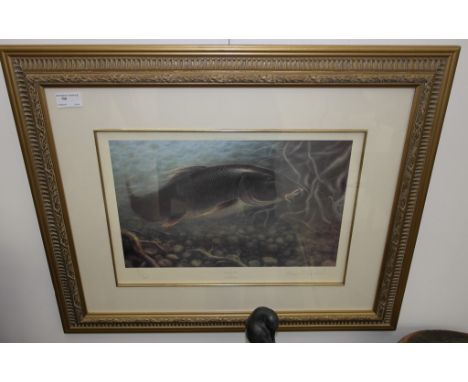 Sheila Tilmouth (b. 1949): 'Barble Bite', Limited Edition colour print, hand-signed & numbered in pencil 