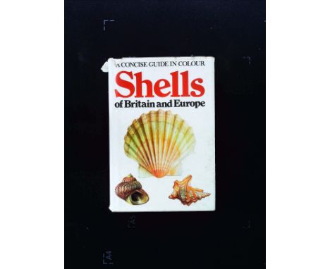 Shells Of Britain And Europe A Concise Guide In Colour hardback book by Jan Lellak Illustrated by Alena Cepicka. Published 19