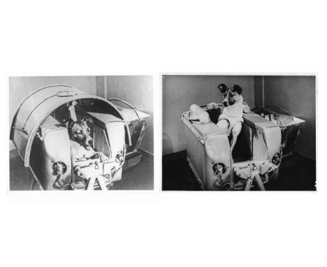 The dog Laika, the first living creature to orbit the Earth, photographed before the launch (left); accompanied by a second s