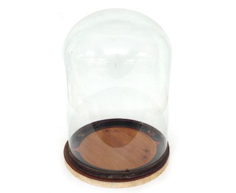 Large glass circular clock dome, 11.5" diameter (without metal base locking surround), 16.5" high