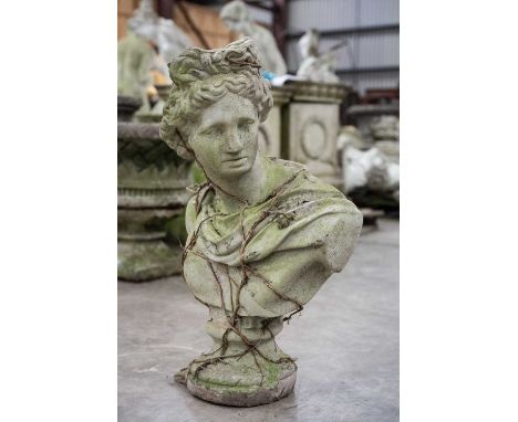 STONEWARE BUST Classical, socle base, 77cms (h)Provenance: The Cornelia Bayley Collection from Plas Teg, an important Jacobea