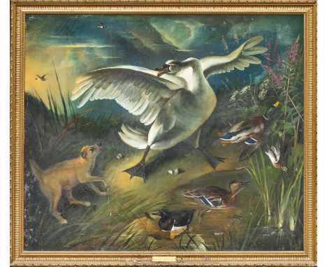 EDWARD HASELL McCOSH (b. 1949) oil on canvas – title to frame plaque ‘The Disturbed Swan’, 129 x 152cmsProvenance: The Cornel