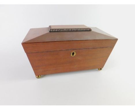 A Regency mahogany sarcophagus tea caddy, twin compartment, with brass key escutcheon, raised on four brass ball feet, 25cm x
