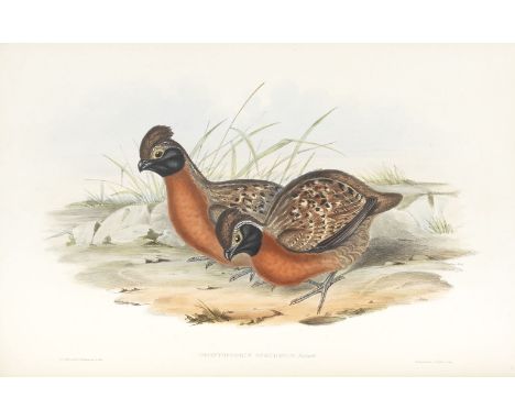 GOULD (JOHN)A Monograph of the Odontophorinae, or Partridges of America, 3 original parts (complete),  32 hand-coloured litho