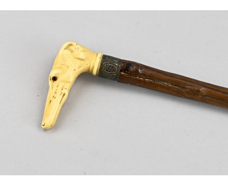 Antique hardwood walking stick with celluloid. Grip in the shape of a greyhound, with glass eyes. Circa 1930. Dimensions: L 8