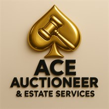 Auctioneer Logo