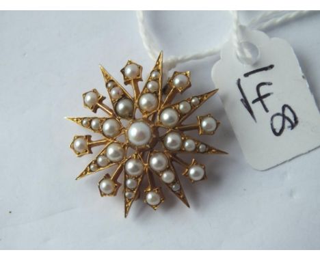 A pearl starburst brooch in 9ct - 4.6gms