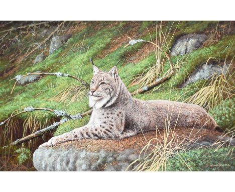 Hans Bulder (b.1953)Lynx at rest on a boulder Signed, oil on board, together with two further oils on canvas by by the same h