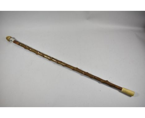 A Thorn Wood Walking Stick with Carved Horn Handle and Circular Silver Banding, Hallmarked for 1916 Ebenezer Newman, 90cm Lon