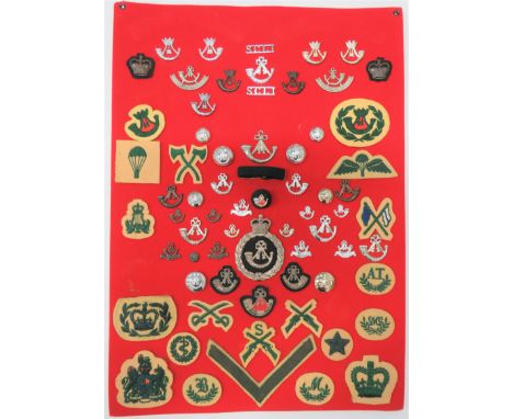 57 Items Of Insignia For Somerset And Cornwall Light Infantry display board with good tabulated display of metal and cloth ba