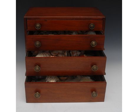 A 19th century mahogany table-top collector's chest, the four long graduated drawers containing a collection of shells, miner