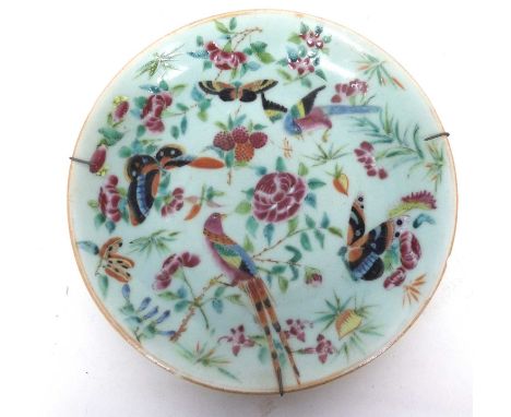 Cantonese porcelain dish, the celadon ground with enamel decoration of butterflies and birds, 25cm diam