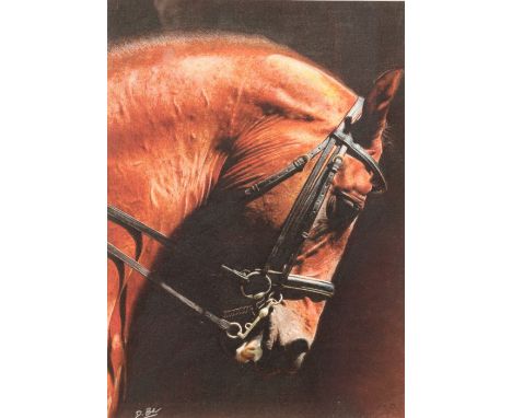 Darren Baker (British born 1976) ARR Framed pastel, signed 'Portrait of a Chestnut Horse' 27cm x 20cm. CONDITION REPORT: The 