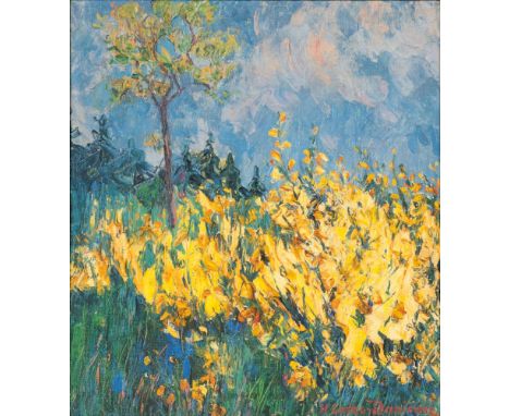 Helene Gries-Danican (Kiel 1874 - Itzehoe 1935). Blühender Ginster. Öl/Lw./Hartfaser. 47,5 x 42,5 cm. R. u. sign. H. Gries-Da