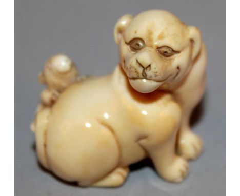 A GOOD QUALITY 19TH CENTURY SIGNED JAPANESE IVORY NETSUKE OF A DOG & RAT, the rat clinging to the dog’s hind quarters, the do