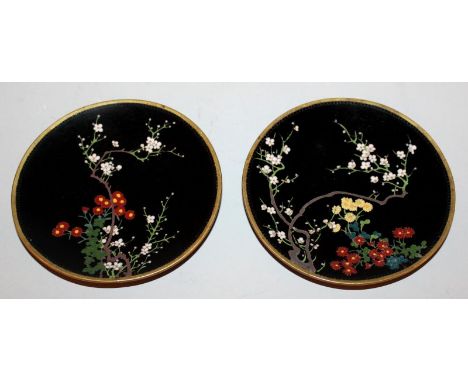 A SMALL PAIR OF JAPANESE MEIJI PERIOD CLOISONNE DISHES, circa 1900, each well decorated with extended foliage reserved on a b