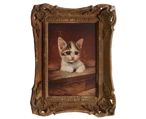 BESSIE BAMBER (19TH/20TH CENTURY)  A kitten resting upon a low wall, signed with initials, oil on panel