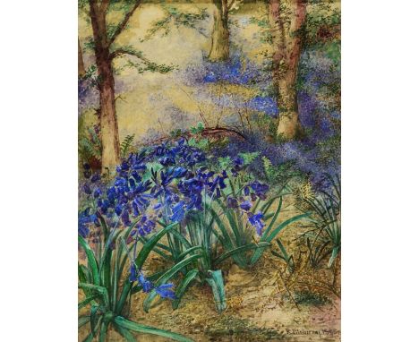 R PILSBURY (LATE 19TH CENTURY) Bluebell Woods, signed and dated 1890, watercolour, 33 x 24.5cm