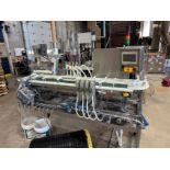 Wild Goose WGC-250 4-Head Canning Line | Rig Fee $1200