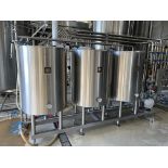 (3) Tank Stainless Steel CIP System (Approx. 3.5 BBL Tanks) **Subj to Bulks** | Rig Fee $1200