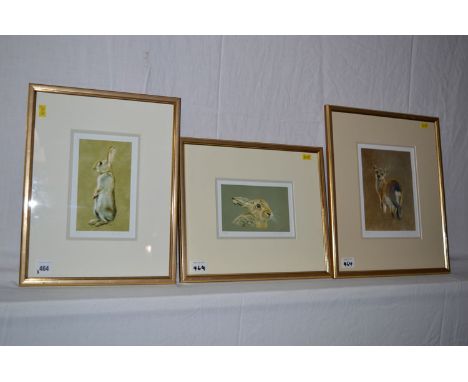 Limited edition signed giclee print - "Sika", "Rabbit" and "Hare", signed and numbered 2/250.  (3)