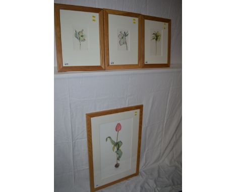 Watercolours, by Jane Murray - studies of flowers, signed with initials; together with a limited edition colour print of a tu