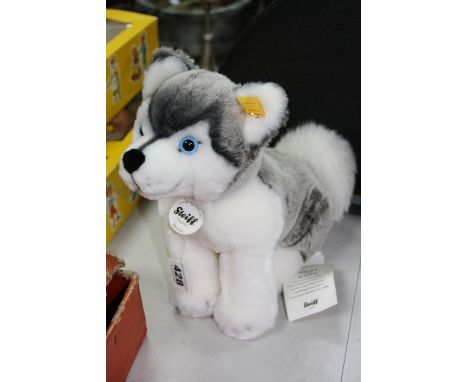 A MODERN STEIFF HUSKY DOG, 'Bernie' No 104978, complete with tags and button to left ear, height approximately 25cm