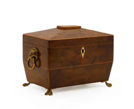 A George III yew wood and box wood strung tea caddy,  of sarcophagus form on cast paw feet19cm wide12cm deep15cm highConditio