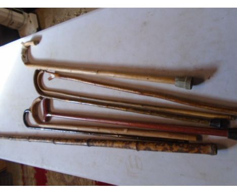 walking sticks including a silver tipped stick and ratting stick